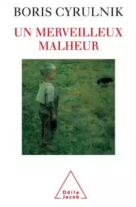 Couverture du produit · Un merveilleux malheur