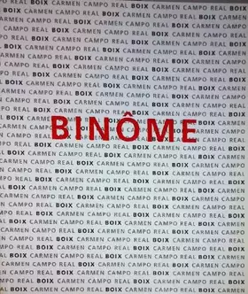 Couverture du produit · Binôme - catalogue d'exposition 19 avril au 14 mai galerie Sonia Zannettacci, Genève