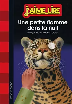 Couverture du produit · Une petite flamme dans la nuit