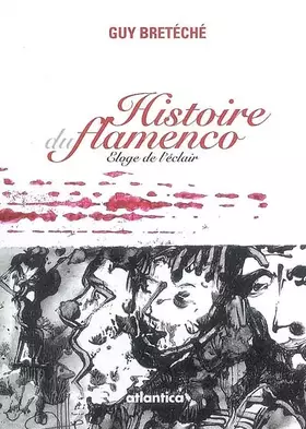 Couverture du produit · Histoire du flamenco : Eloge de l'éclair