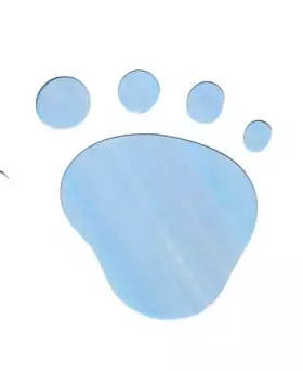 Couverture du produit · Si j'étais un ours polaire