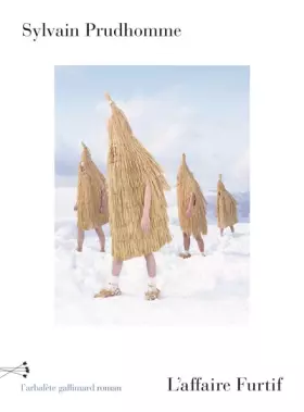 Couverture du produit · L'affaire Furtif