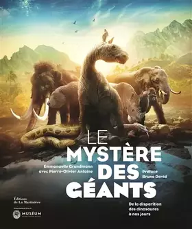 Couverture du produit · Le mystère des géants