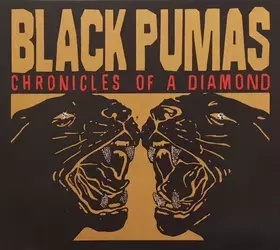 Couverture du produit · Chronicles Of A Diamond
