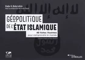 Couverture du produit · Géopolitique de l'état islamique: 40 fiches illustrées pour comprendre le monde