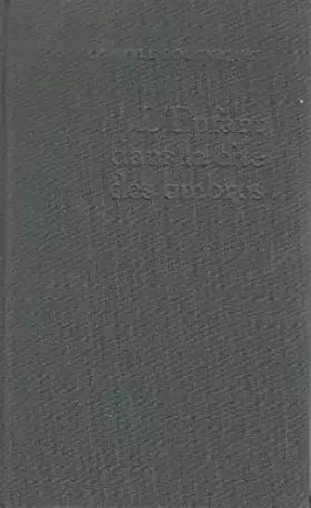 Couverture du produit · L'enfant dans la cité des ombres