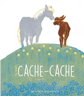 Couverture du produit · Cache-cache