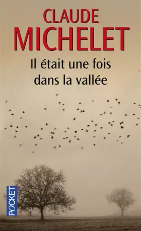 Couverture du produit · Il était une fois dans la vallée