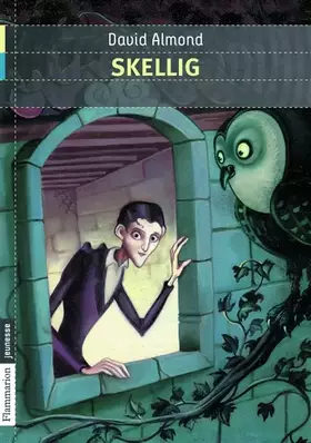 Couverture du produit · Skellig
