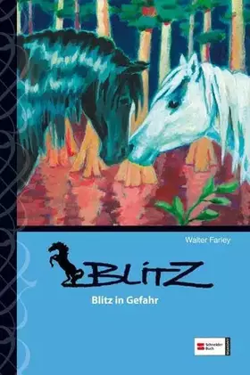Couverture du produit · Blitz, Band 11: Blitz in Gefahr