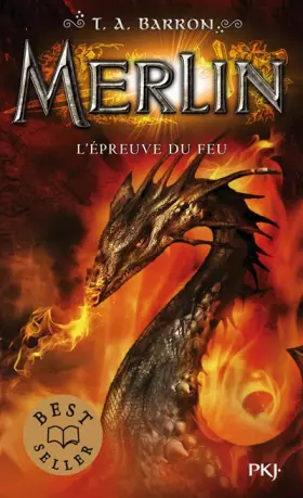Couverture du produit · Merlin - tome 03 : L'épreuve du feu (3)