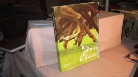 Couverture du produit · Les sabots de la gloire