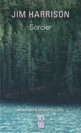 Couverture du produit · Sorcier