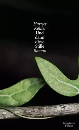 Couverture du produit · Und dann diese Stille: Roman