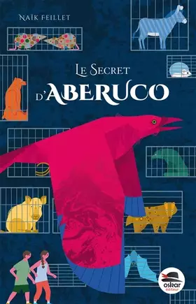 Couverture du produit · Le secret d'Aberuco