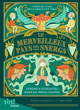 Couverture du produit · Le Merveilleux Pays des Snergs