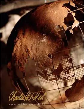 Couverture du produit · International Business: Competing in the Global Marketplace