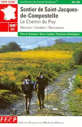 Couverture du produit · GR 65 : Sentier de St-Jacques-de-Compostelle, le Chemin du Puy , Moissac-Condom-Roncevaux