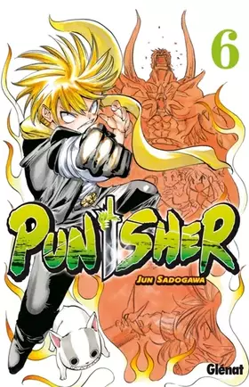Couverture du produit · Punisher Vol.6