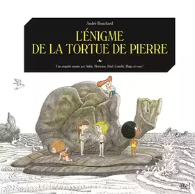 Couverture du produit · L'Énigme de la tortue de pierre