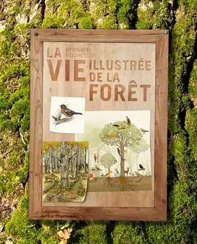 Couverture du produit · La Vie illustrée de la forêt