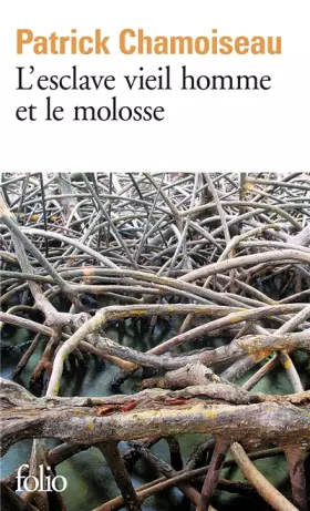 Couverture du produit · L'Esclave vieil homme et le molosse
