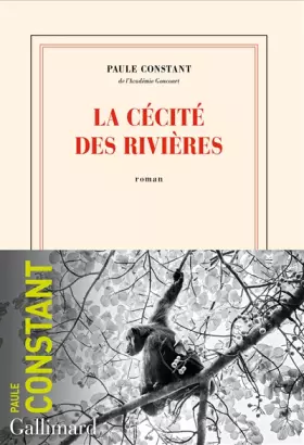 Couverture du produit · La cécité des rivières