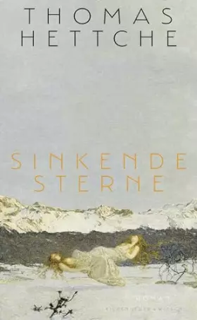 Couverture du produit · Sinkende Sterne: Roman