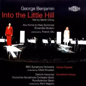 Couverture du produit · Into The Little Hill
