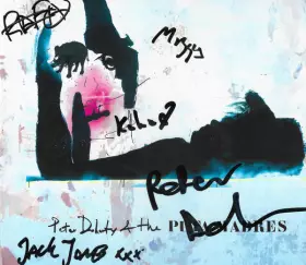 Couverture du produit · Peter Doherty & The Puta Madres
