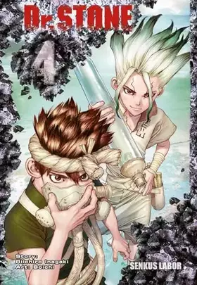 Couverture du produit · Dr. Stone 4: Verrückte Abenteuer, Action und Wissenschaft!
