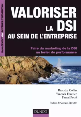 Couverture du produit · Valoriser la DSI au sein de l'entreprise: Faire du marketing de la DSI un levier de performance