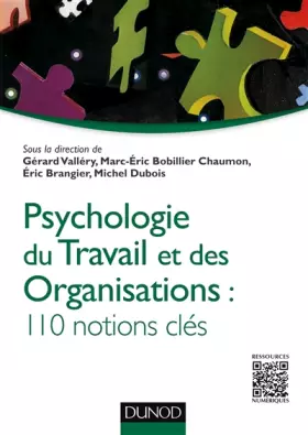 Couverture du produit · Psychologie du travail et des organisations - 110 notions clés: 110 notions clés