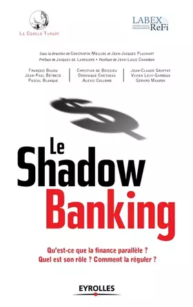 Couverture du produit · Le shadow banking: Qu'est-ce que la finance parallèle ? Quel est son rôle ? Comment la réguler ?