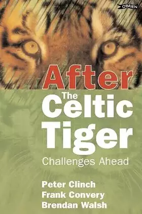 Couverture du produit · After the Celtic Tiger: Challenges Ahead