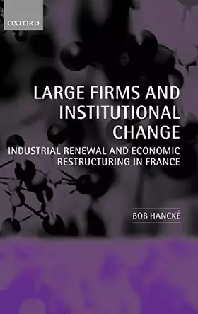 Couverture du produit · Large Firms and Institutional Change: Industrial Renewal and Economic Restructuring in France