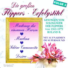 Couverture du produit · Die Großen Flippers-Erfolgstitel (Folge 3)