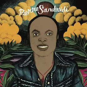 Couverture du produit · Le Troubadour De La Savane 1976-1980