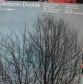 Couverture du produit · Symphonische Dichtungen: Der Wassermann / Die Waldtaube