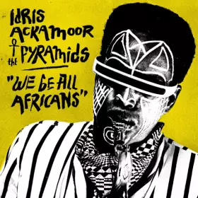 Couverture du produit · We Be All Africans