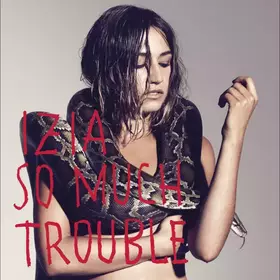 Couverture du produit · So Much Trouble
