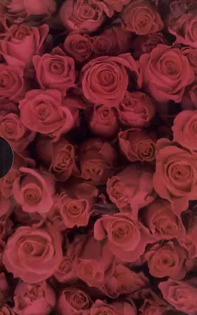 Couverture du produit · L'Amour fou : 17 Passions extraordinaires