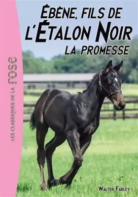 Couverture du produit · L'Étalon Noir 21 - Ébène, le fils de l'Étalon Noir