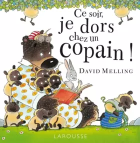 Couverture du produit · Ce soir, je dors chez un copain !