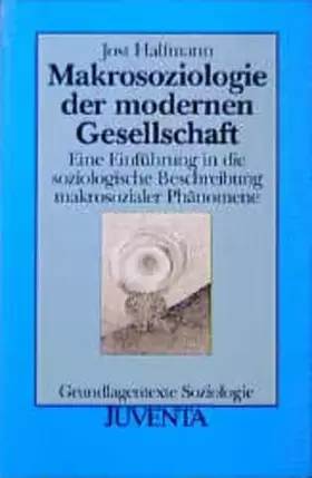 Couverture du produit · Makrosoziologie der modernen Gesellschaft