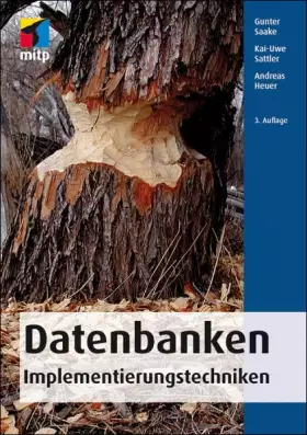 Couverture du produit · Datenbanken: Implementierungstechniken (mitp Professional)