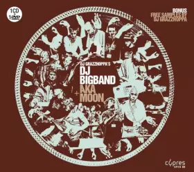 Couverture du produit · DJ Grazzhoppa's DJ Bigband + Aka Moon