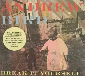 Couverture du produit · Break It Yourself