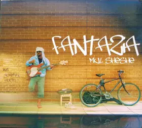 Couverture du produit · Mul Sheshe