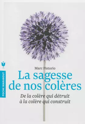Couverture du produit · La sagesse de nos colères: De la colère qui détruit à la colère qui construit